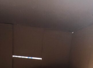 Save a life by D: Τα αδεσποτάκια μας (30/5)