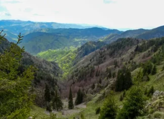 Συνέβη και αυτό στην Ελλάδα: Έβαλαν πωλητήριο σε δάσος στην Αργολίδα και ζητάνε 100 εκατ. ευρώ