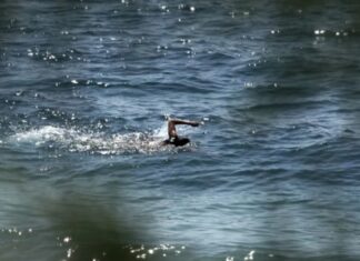 Αυτές είναι οι περιοχές στην Αττική που απαγορεύεται το κολύμπι – Δεν πληρούν όρους της νομοθεσίας