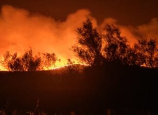 Τραγωδία στον Έβρο: Δυο παιδάκια ανάμεσα στους απανθρακωμένους – Συνολικά 26 οι νεκροί μετανάστες
