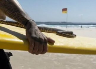 Του επέβαλαν πρόστιμο 1.500 δολαρίων γιατί έκανε surf με τον… πύθωνά του