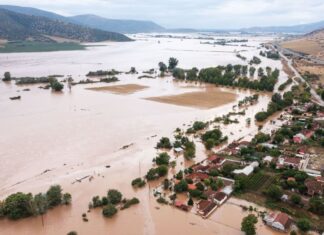 Ο Μπέος κατέθεσε μήνυση κατά παντός υπευθύνου για την ρύπανση του Παγασητικού