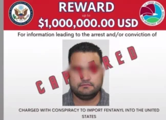 Στην Αθήνα εντοπίστηκε μέλος των «Λος Τσαπίτος» του καρτέλ του El Chapo – Ο βαρύτατος οπλισμός και τα… «ψώνια» στην Αυστρία