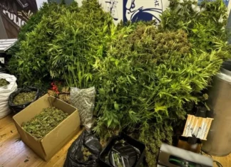 Καταστράφηκαν με καύση πάνω από 1 τόνος ναρκωτικών ουσιών