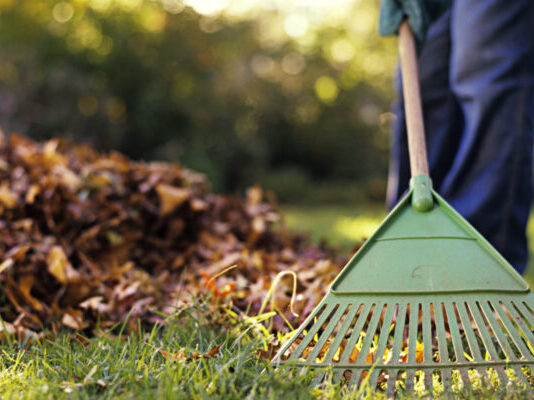 Άνοιξε η ψηφιακή πλατφόρμα για τη δήλωση καθαρισμού οικοπέδων