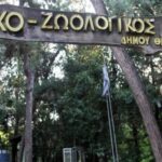 Κλείνει ο Ζωολογικός Κήπος του Δήμου Θεσσαλονίκης ύστερα από θετικό κρούσμα βρουκέλλωσης