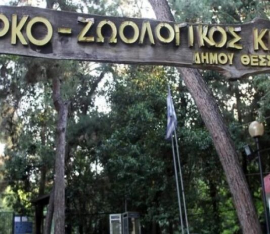 Κλείνει ο Ζωολογικός Κήπος του Δήμου Θεσσαλονίκης ύστερα από θετικό κρούσμα βρουκέλλωσης