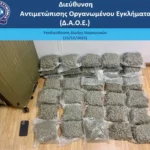 Συνελήφθη 21χρονος αλλοδαπός για εισαγωγή κάνναβης στην ελληνική επικράτεια μέσω της αεροπορικής οδού