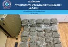 Συνελήφθη 21χρονος αλλοδαπός για εισαγωγή κάνναβης στην ελληνική επικράτεια μέσω της αεροπορικής οδού