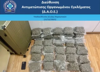 Συνελήφθη 21χρονος αλλοδαπός για εισαγωγή κάνναβης στην ελληνική επικράτεια μέσω της αεροπορικής οδού