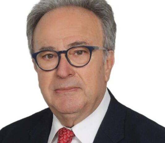 Γεώργιος Αποστολάκης: Ψηφιακή ακεραιότητα, δικαίωμα στην «εκτός δικτύου ζωή» και το συνταγματικό πείραμα της Ελβετίας