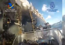 Σοκ: Αγελάδες κοκαΐνης – Νεκρά ζώα μαζί με ναρκωτικά μέσα σε πλοία γεμάτα δυσοσμία «φορτώνουν» τα καρτέλ του θανάτου