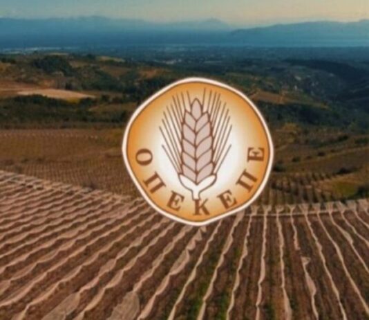 ΟΠΕΚΕΠΕ: Μεγάλη αστυνομική επιχείρηση του ελληνικού FBI στην Κρήτη – 15 συλλήψεις για παράνομες επιδοτήσεις