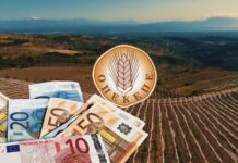 Υπερψηφίστηκε η μεταφορά του ΟΠΕΚΕΠΕ στην ΑΑΔΕ