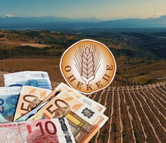 Υπερψηφίστηκε η μεταφορά του ΟΠΕΚΕΠΕ στην ΑΑΔΕ