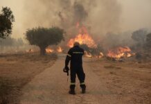 Πυροσβεστική: Πέντε συλλήψεις και πρόστιμα έως και 2.000 ευρώ για φωτιές από αμέλεια
