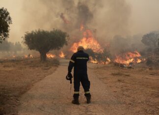 Πυροσβεστική: Πέντε συλλήψεις και πρόστιμα έως και 2.000 ευρώ για φωτιές από αμέλεια