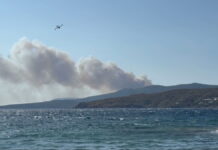 Σκύρος: Ένταλμα σύλληψης σε βάρος του υπόπτου που είχε προσαχθεί για τις δύο φωτιές σε Κλούθρο και Χάρτσα