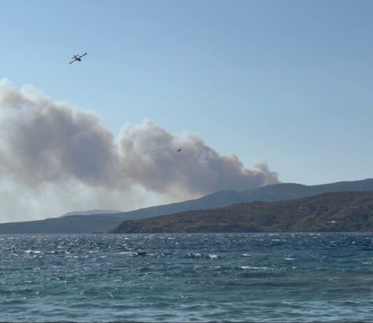 Σκύρος: Ένταλμα σύλληψης σε βάρος του υπόπτου που είχε προσαχθεί για τις δύο φωτιές σε Κλούθρο και Χάρτσα